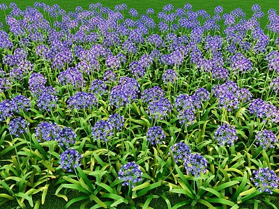 Baizilian landscape flowers and grass model