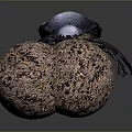 Blue beetle carrying brown textured dung ball on dark background surface 3d model