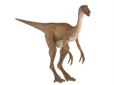 Like a chicken dragon dinosaur 3d model