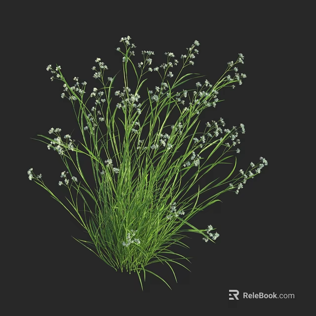 Natural Clusters of Green Grass with Small White Flowers on Black Background 3d model 