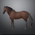 Chestnut Horse 3D Model With Black Mane Blue Eyes And Blue Leg Markings
