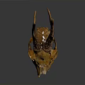 Deer Skull With Antlers On Dark Background Showing Bone Structure And Reflection