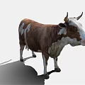 Realistic Brown And White Cow 3D Model With Detailed Fur And Horns