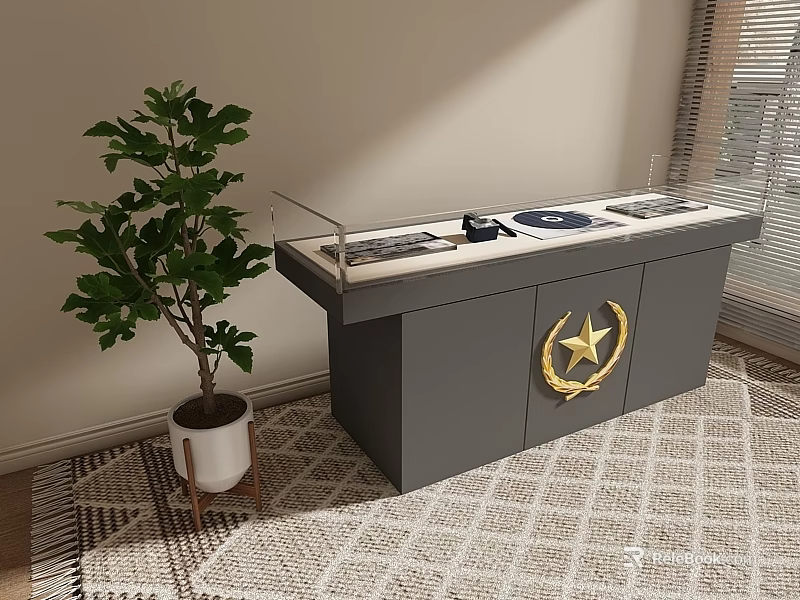 Gray Cabinet With Golden Star Emblem And Glass Display Near Green Plant On Geometric Rug 3d model 