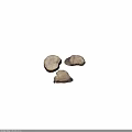 Natural Plant Wood Stump Slices With Three Irregular Shapes And Wood Grain Texture