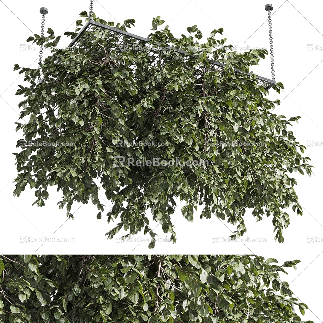 hanging plant hanging plant hanging plant rack model