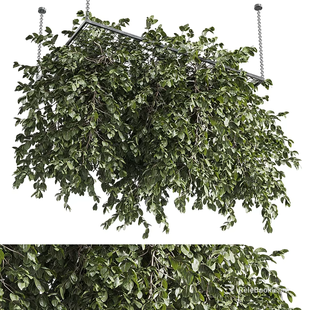 Hanging Basket Plants With Lush Green Leaves Suspended For Indoor Outdoor Decor 3d model 