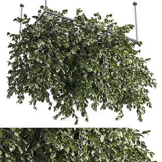 hanging plant hanging plant hanging plant rack 3d model