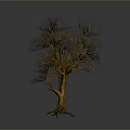 Isolated Leafless Tree With Brown Trunk And Bare Branches On Gray Background