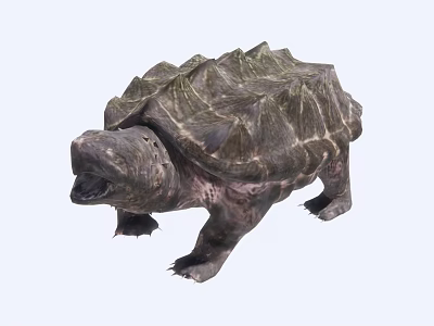 Alligator Snapping Turtle With Rough Shell And Open Mouth In Aquatic Environment 3d model