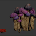 Fresh Purple and Dark Purple Mushrooms in Wooden Basket with Red Berries