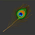 Peacock Feather With Vibrant Green Blue Orange Eye Pattern And Golden Quills