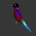 Colorful Bird with Red Body Blue Wings and Black Head on Gray Background