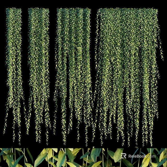 Indoor Green Plant Wall With Lush Hanging Foliage And Decorative Design 3d model 