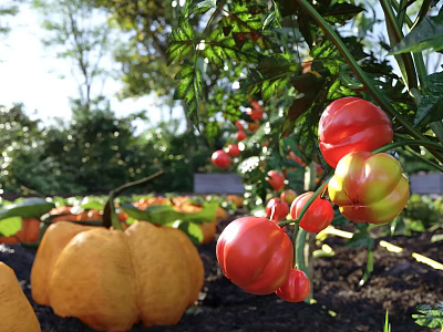 Sunlit Vibrant Garden Landscape With Ripe Red Tomatoes Yellow Pumpkins And Green Leaves 3d model