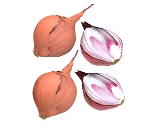 Vegetable Onion 3d model