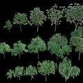 Various Trees With Different Sizes And Lush Green Foliage For Landscape Design 3d model