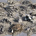 Piles of Rough Stones and Broken Wooden Debris Scattered On Concrete Ground