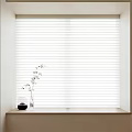 White Venetian Blinds For Window With Simple Decor And Green Plant