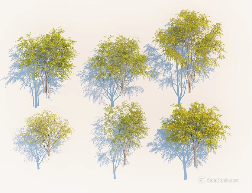 Six Arbor Trees With Various Forms And Green Foliage On White Background 3d model 