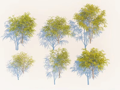 Six Arbor Trees With Various Forms And Green Foliage On White Background 3d model