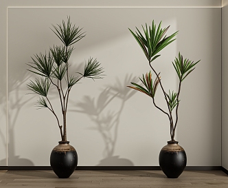 Green plant potted combination 3d model