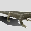 Komodo Dragon With Open Mouth Grayish Brown Skin And Sharp Claws Standing