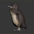Brown And White Stuffed Penguin Toy With Detailed Wings And Webbed Feet