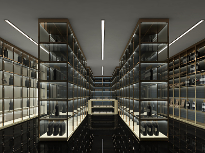 Modern Cellar Cigar Wine Area model