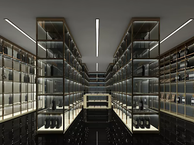 Modern Wine Cellar Interior With Long Layout Glass Wine Racks Metal Frames And Lighting 3d model