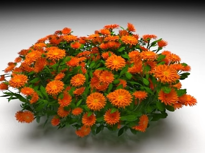 Vibrant Orange Flowers With Lush Green Leaves In Natural Garden Cluster 3d model