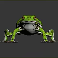 Vibrant Green Spotted Frog Standing on Shiny Reflective Surface with Extended Legs