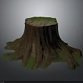 Natural Wooden Tree Stump With Detailed Texture And Green Mossy Base
