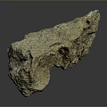 Natural Wood Textured Stone with Rough Surface and Small Tagged Label