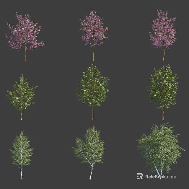 Various Arbor Tree Varieties With Purple Blossoms And Green Leaves For Garden Landscaping 3d model 