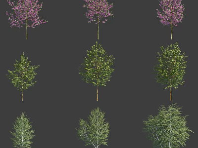 Various Arbor Tree Varieties With Purple Blossoms And Green Leaves For Garden Landscaping 3d model