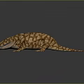 Brown Spotted Lizard on Dark Surface with Shiny Reflection and Detailed Skin