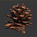 Orange Pine Cone With Detailed Structure And Shiny Texture On Dark Background 3d model