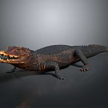 Modern Crocodile Alligator Nile Crocodile carnivore 3d model