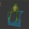 Frog Poison Frog Game Frog Reptile Cold Blooded Animal Reptile 3d model