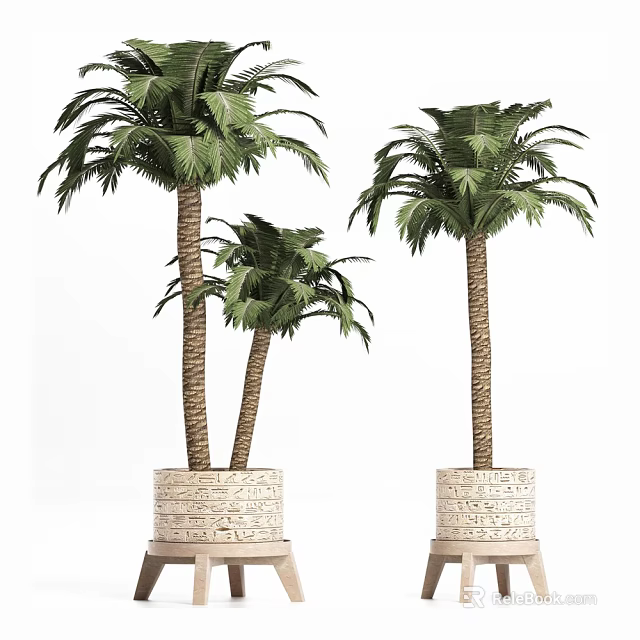 Three Decorative Palm Potted Plants In Textured Stone Planters 3d model 