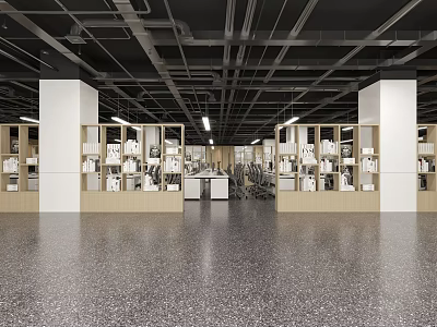 Modern Public Office Space With Open Layout Shelving Units And Work Desks 3d model