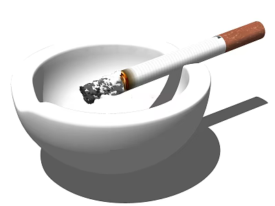 Decorative Ornament Set Featuring White Ashtray With Lit Cigarette And Ash 3d model