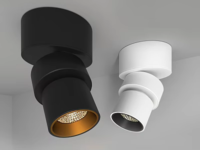 Modern Black and White Downlights and Spotlights with Adjustable Metal Rotatable Head Design 3d model