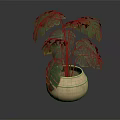 Monstera Plant With Large Green Leaves In Golden Textured Pot On Shiny Surface