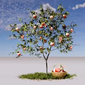 Apple Tree Loaded with Red Apples and Basket of Apples on Green Grass