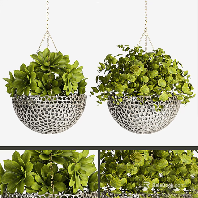 Decorative Hanging Basket Plants With Metal Baskets And Lush Green Foliage 3d model 