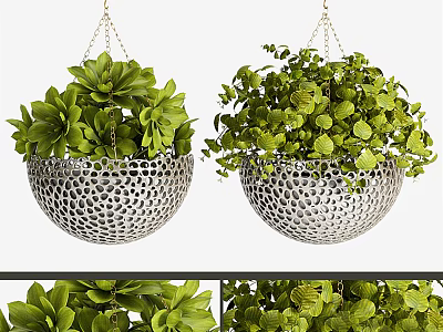 Decorative Hanging Basket Plants With Metal Baskets And Lush Green Foliage 3d model