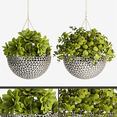 Decorative Hanging Basket Plants With Metal Baskets And Lush Green Foliage 3d model