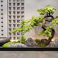 Tranquil Entryway Design Featuring Bonsai Pine Tree Stone Basin Green Plants And Illuminated Grid Wall